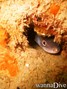 foto de buceo