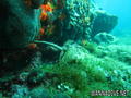 foto de buceo