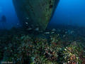 foto de buceo