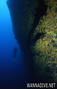 foto de buceo