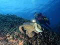 foto de buceo