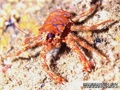 foto de buceo