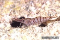 foto de buceo