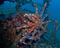 foto de buceo