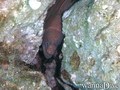 foto de buceo