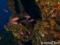 foto de buceo