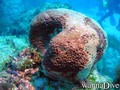 foto de buceo