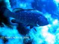 foto de buceo