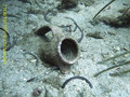 foto de buceo