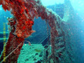 foto de buceo