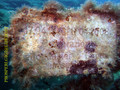 foto de buceo