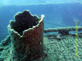 foto de buceo