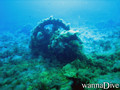 foto de buceo