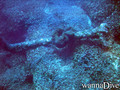 foto de buceo