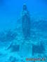 foto de buceo