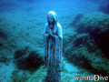 foto de buceo