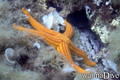 foto de buceo