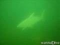 foto de buceo