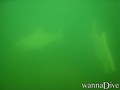 foto de buceo