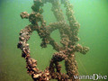 foto de buceo