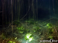 foto de buceo