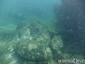 foto de buceo