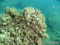 foto de buceo