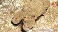 foto de buceo