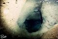 foto de buceo