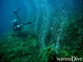 foto de buceo