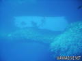 foto de buceo