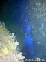 foto de buceo