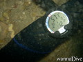 foto de buceo
