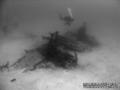 foto de buceo