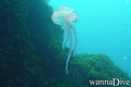 foto de buceo