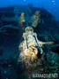 foto de buceo