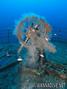 foto de buceo