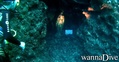 foto de buceo