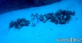 foto de buceo