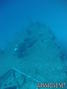 foto de buceo