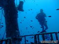 foto de buceo