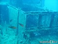 foto de buceo