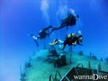 foto de buceo