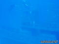 foto de buceo