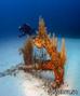 foto de buceo