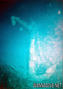 foto de buceo