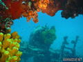 foto de buceo