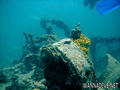 foto de buceo