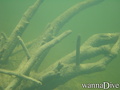 foto de buceo
