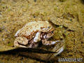foto de buceo